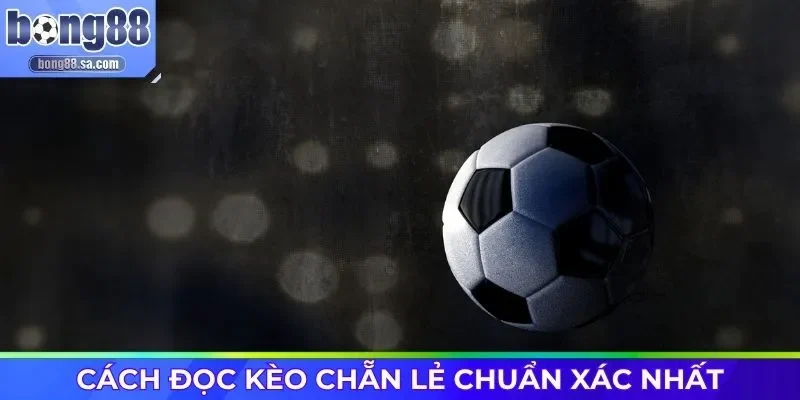 Cách đọc kèo Chẵn Lẻ chuẩn xác nhất
