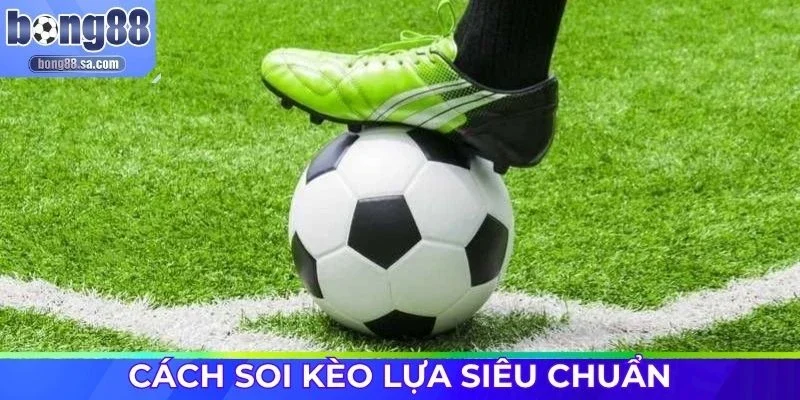 Cao thủ chia sẻ bí quyết soi kèo lựa là gì?