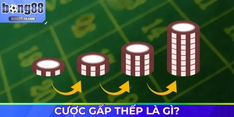 Cược gấp thếp là gì?