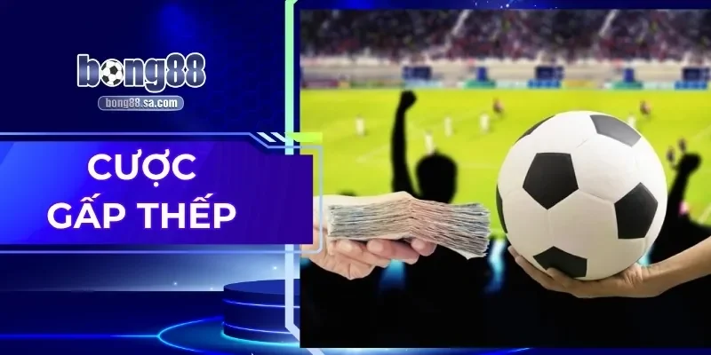 Cược Gấp Thếp| Giả Mã Thuật Ngữ & Cách Chơi Hiệu Quả 2025