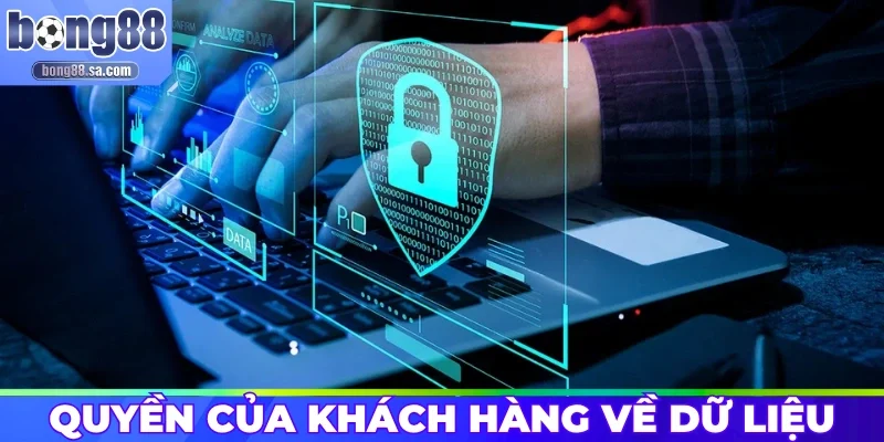 Quyền của khách hàng về dữ liệu lưu trên hệ thống
